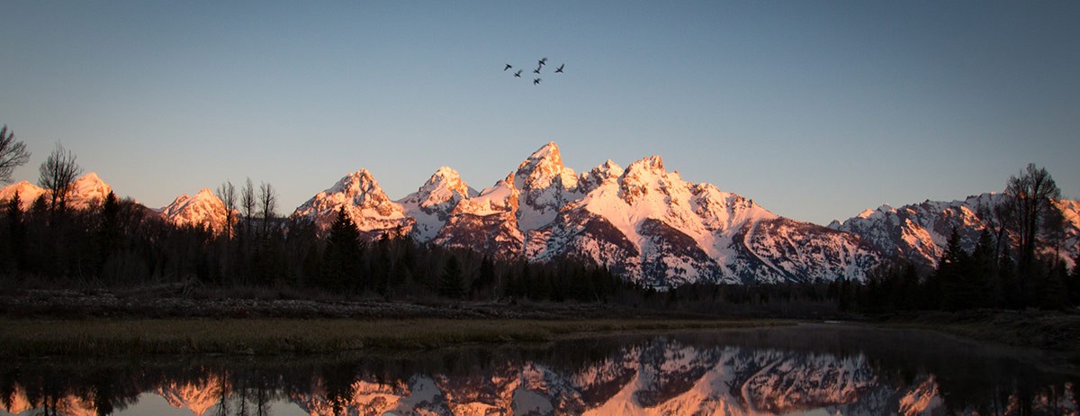 Schwabacher's Landing